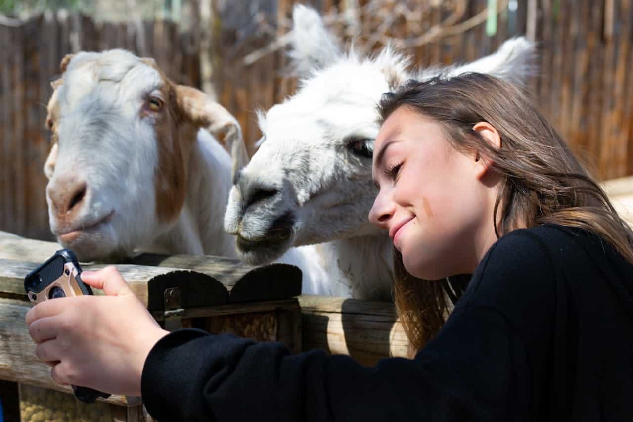 Photo by Brett Sayles: https://www.pexels.com/photo/woman-in-black-shirt-beside-white-llama-1040396/