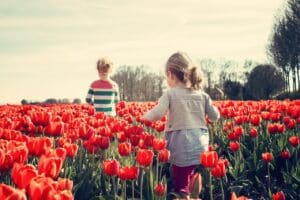 Photo by Pixabay: https://www.pexels.com/photo/2-kids-walking-on-red-tulip-garden-under-blu-sky-36745/