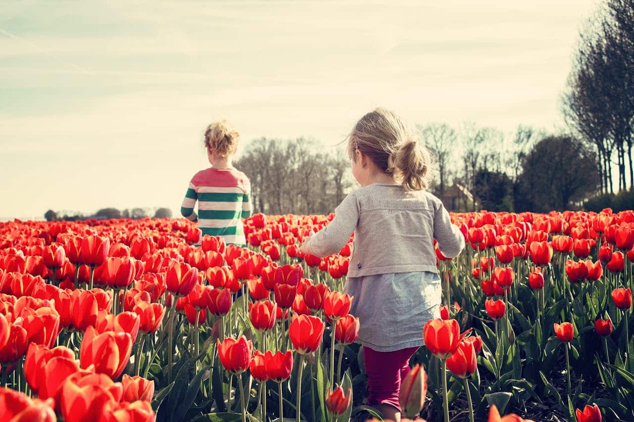 Photo by Pixabay: https://www.pexels.com/photo/2-kids-walking-on-red-tulip-garden-under-blu-sky-36745/