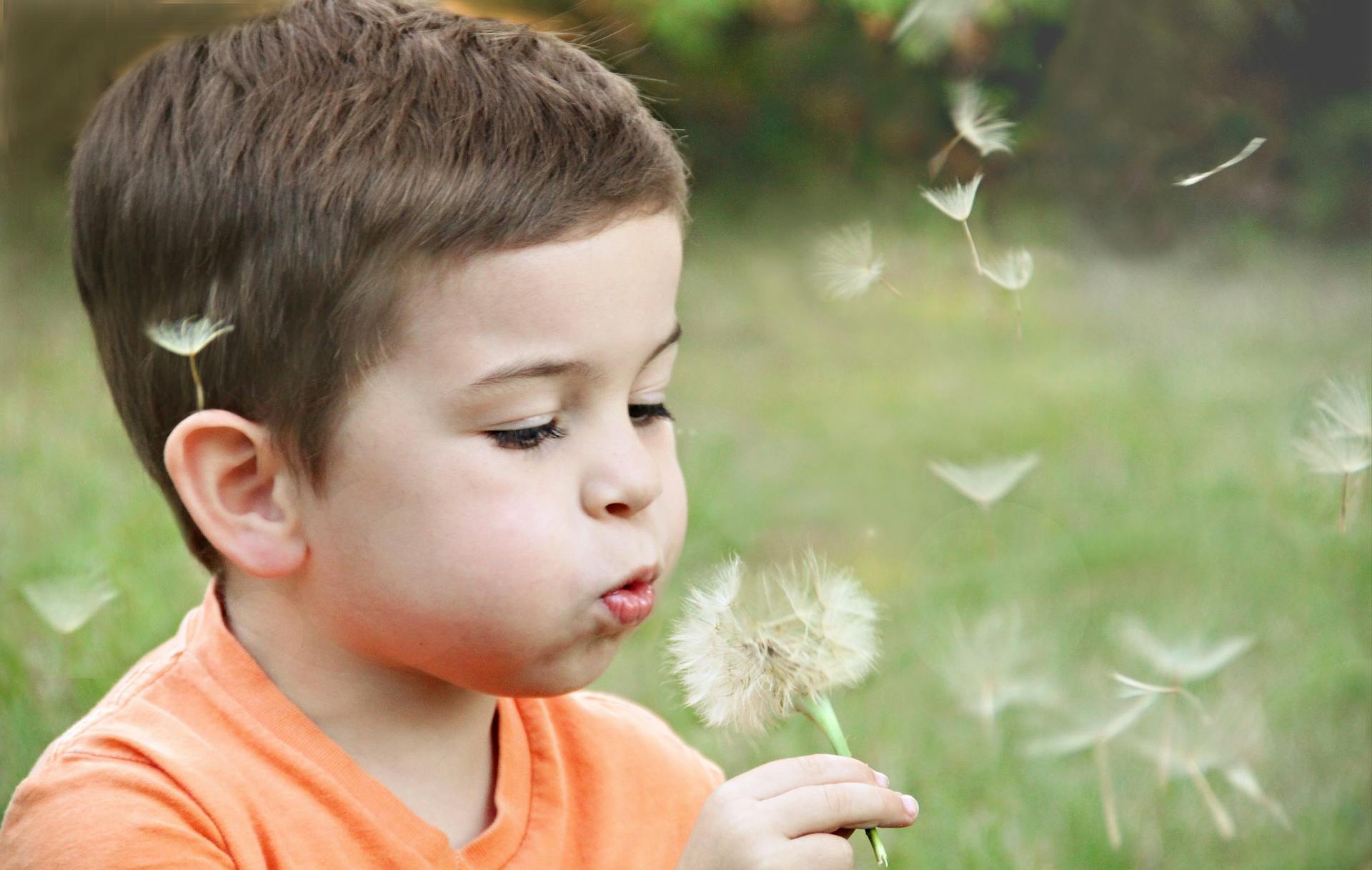 Photo by Sharefaith: https://www.pexels.com/photo/boy-wearing-orange-shirt-blowing-on-dandelion-1231215/